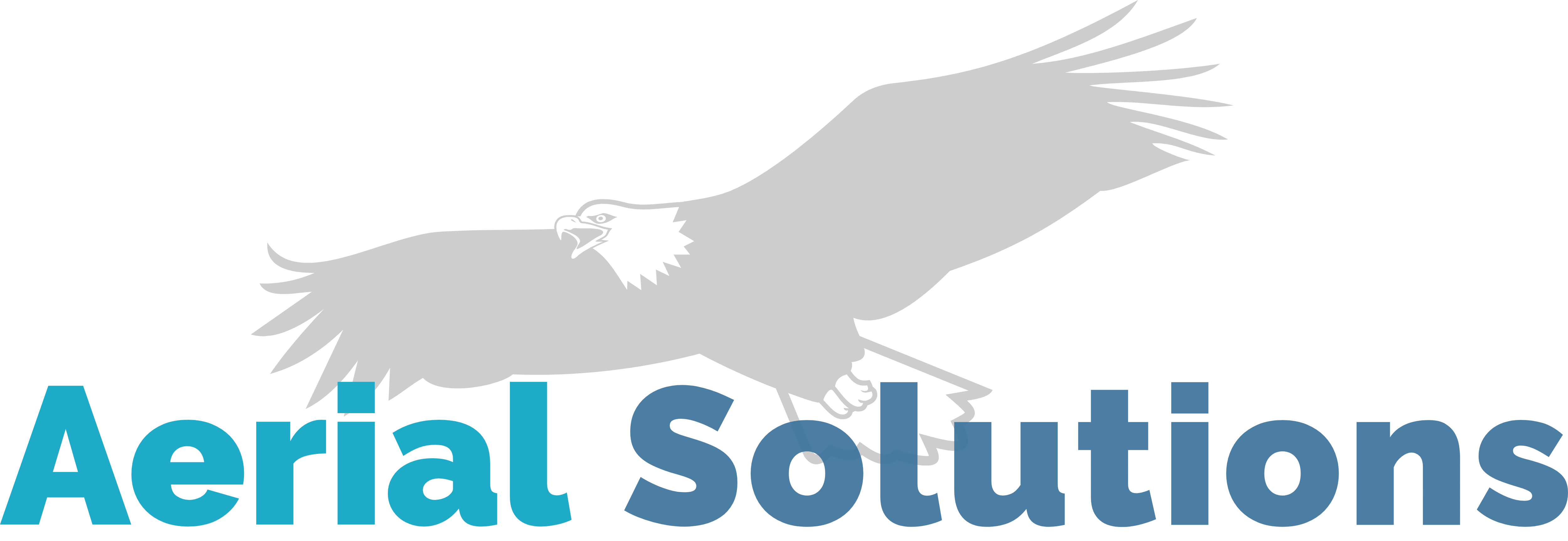 Preview image published by aerialsolutions.io